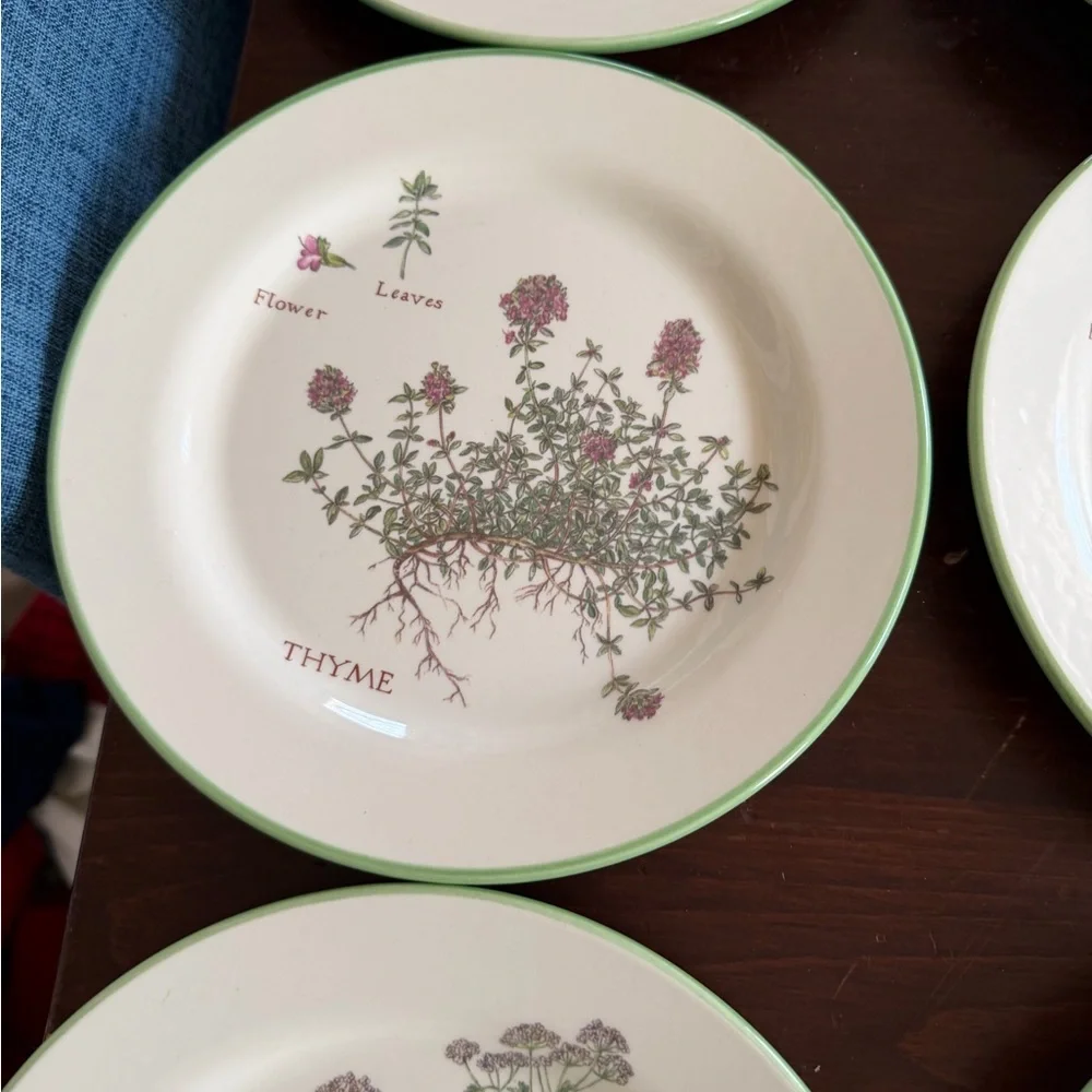 Williams Sonoma Botanical Herb salad Plates Set 6
